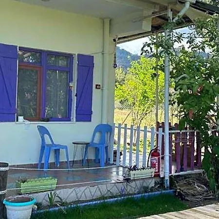 Gaya