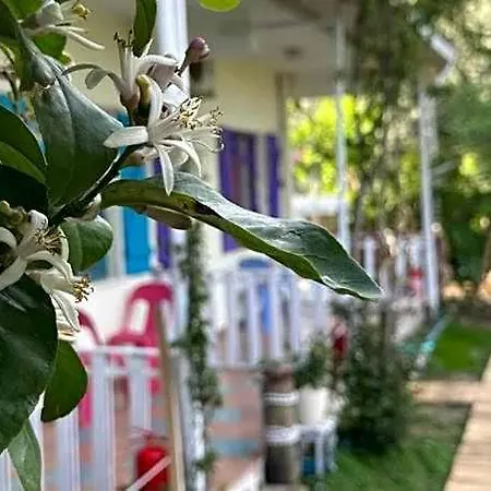 Hotel Gaya 5*