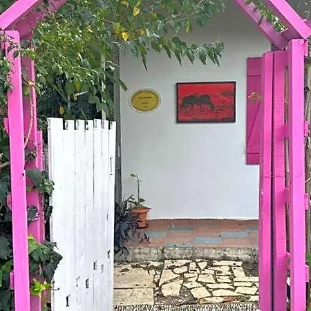 Gaya